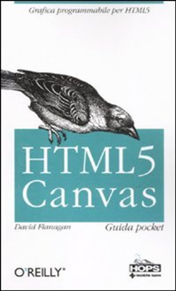 Cover Art for 9788848126519, HTML 5. Canvas. Guida pocket by David Flanagan