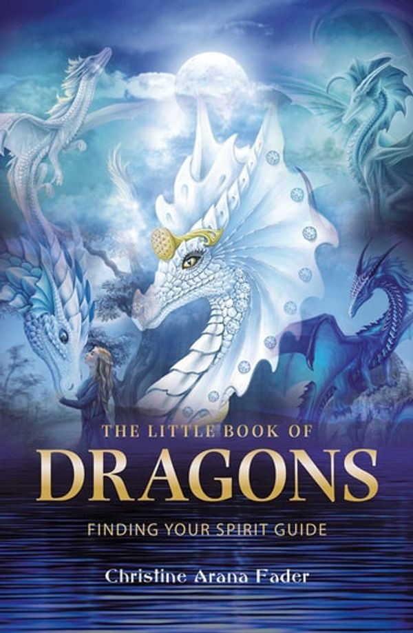 Cover Art for 9781844098309, The Little Book of Dragons by Christine Arana Fader