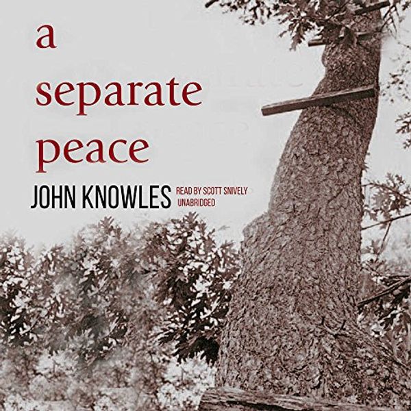 Cover Art for 9781883332761, A Separate Peace by John Knowles