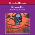 Cover Art for B00CS25W7E, Skeleton Key by Anthony Horowitz