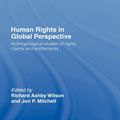 Cover Art for 9780415304108, Human Rights in Global Perspective by Jon P. Mitchell