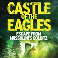Cover Art for 9781785782190, Castle of the Eagles by Mark Felton