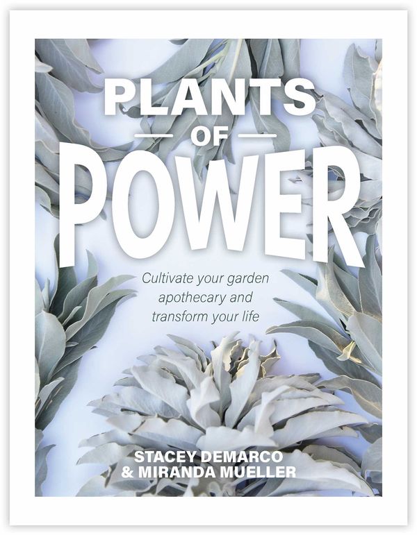 Cover Art for 9781925924350, Plants of Power by Stacey Demarco, Miranda Mueller