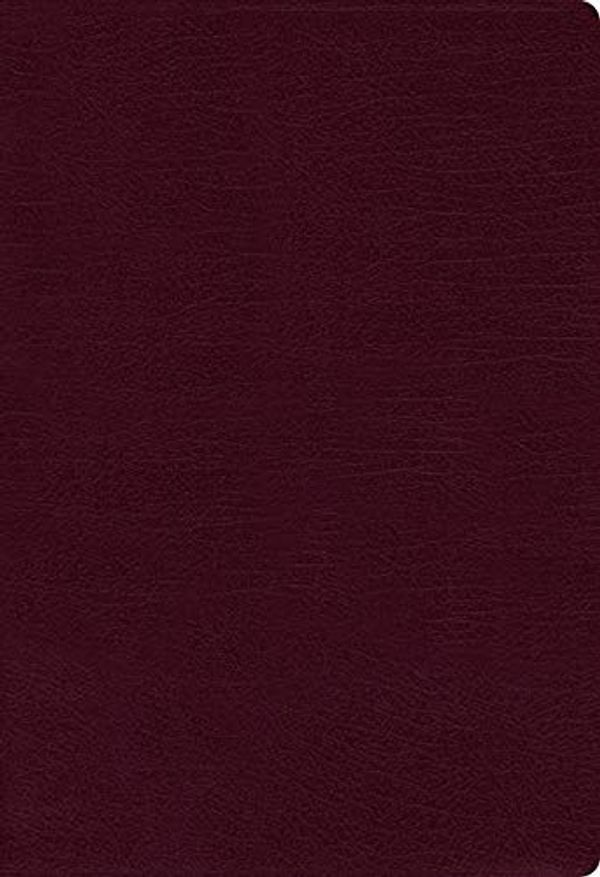 Cover Art for 0025986448806, NIV Thinline Bible Indexed Red Letter Edition [Burgundy] by Zondervan