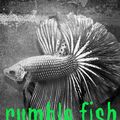 Cover Art for 9781938120824, Rumble Fish by S.E. Hinton