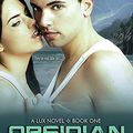 Cover Art for 9781452661650, Obsidian by Jennifer L L Armentrout