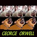 Cover Art for 1230000030975, Animal Farm by George Orwell