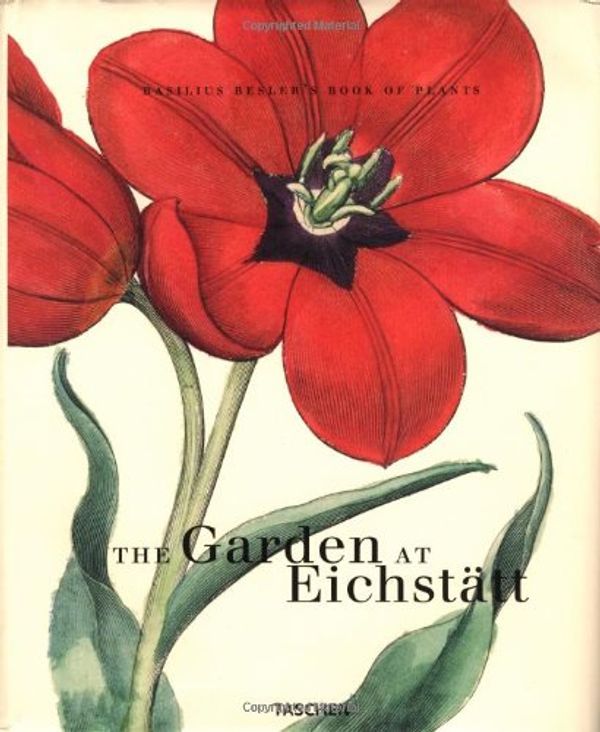 Cover Art for 9783822865279, The Garden at Eichstatt by Klaus Walter Littger