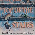 Cover Art for 9781564026408, The Dark at the Top of the Stairs by Sam McBratney