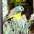 Cover Art for 9780701120078, A field guide to Australian birds: Passerines by Peter Slater