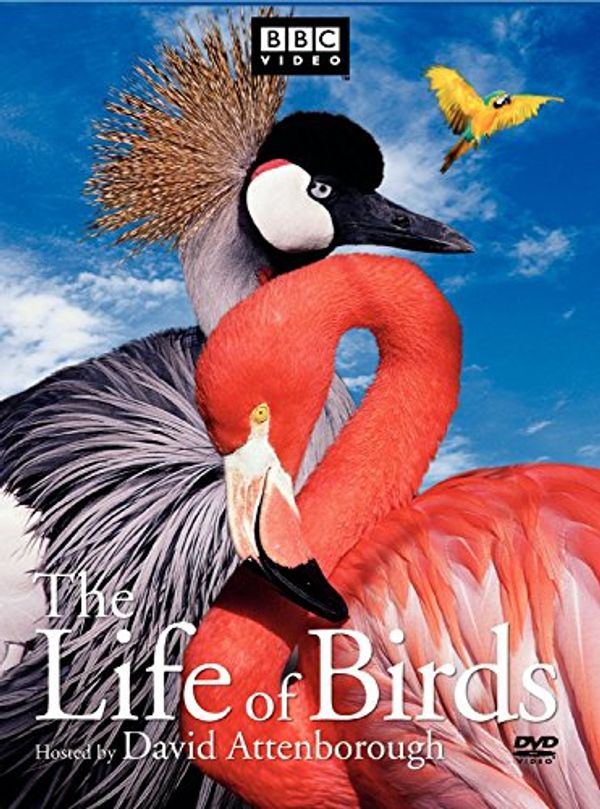 Cover Art for 9780790771175, The Life of Birds by Bbc                  Ddbbcv         E1701