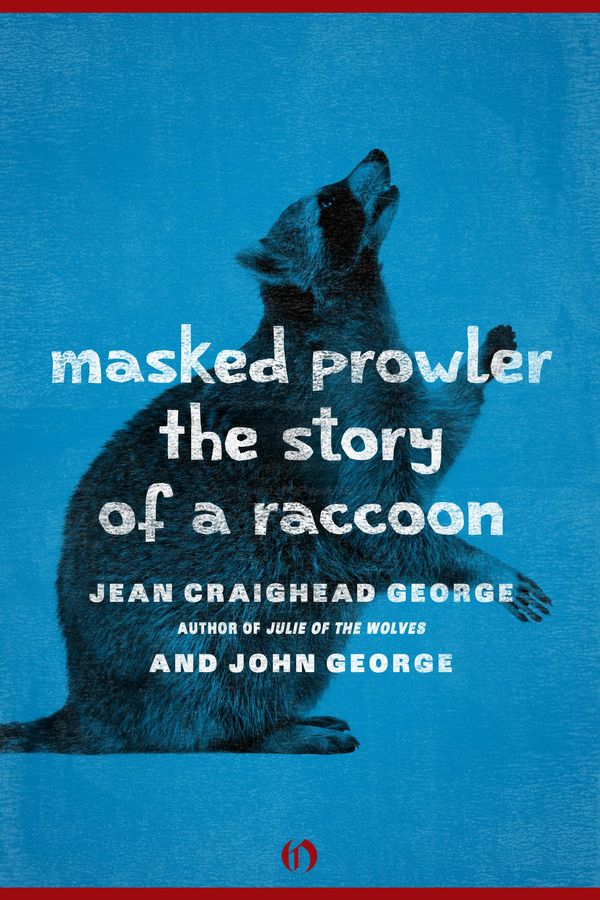 Cover Art for 9781453223376, Masked Prowler by Jean Craighead George, John George