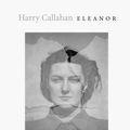 Cover Art for 9783865214645, Harry Callahan by Julian Cox