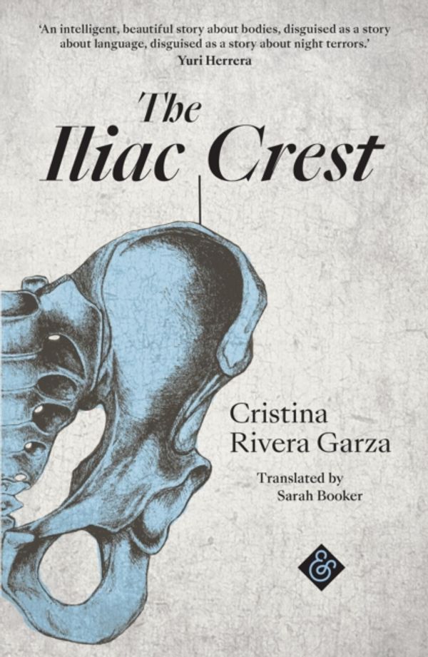 Cover Art for 9781911508267, The Iliac Crest by Rivera-Garza, Cristina