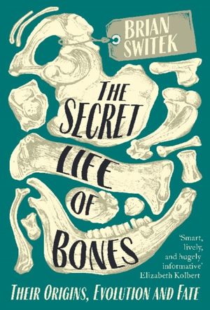 Cover Art for 9780715653791, The Secret Life of Bones: Their Origins, Evolution and Fate by Brian Switek