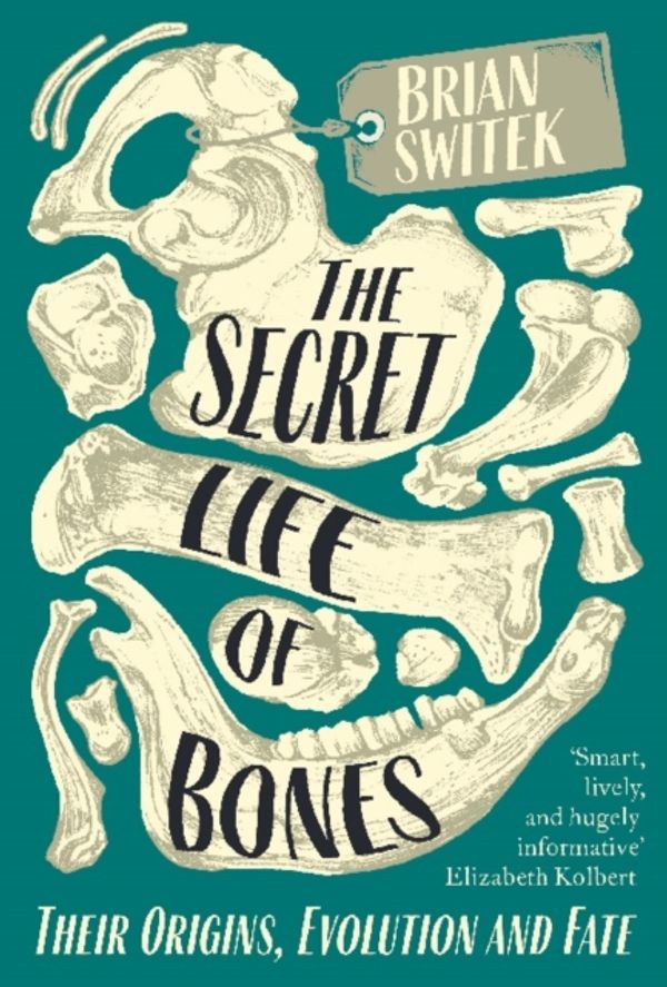 Cover Art for 9780715653791, The Secret Life of Bones: Their Origins, Evolution and Fate by Brian Switek