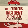 Cover Art for 9781849920414, The Curious Incident of the Dog in the Night-Time by Mark Haddon