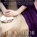 Cover Art for 9781903809778, The Visitor by Maeve Brennan