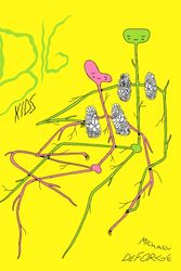 Cover Art for 9781770462243, Big Kids by Michael DeForge