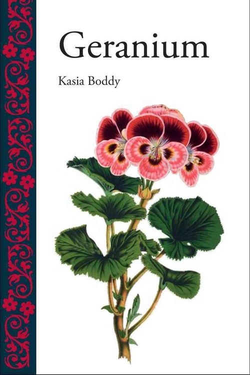 Cover Art for 9781780230481, Geranium by Kasia Boddy