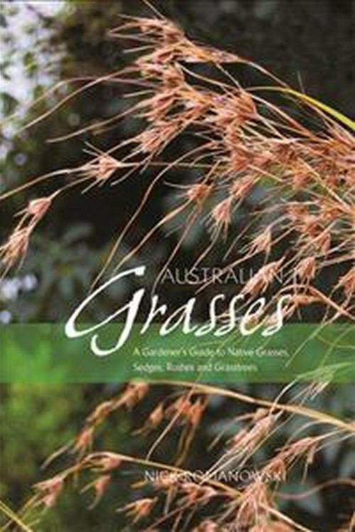 Cover Art for 9781864471168, Australian Grasses by Nick Romanowski