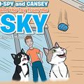 Cover Art for 9781524656898, I-Spy and Cansey and the Toy from the Sky by Alan K. Mason