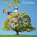 Cover Art for 9781907048029, Dear Grandma, from You to Me (tree) by from you to me (author)