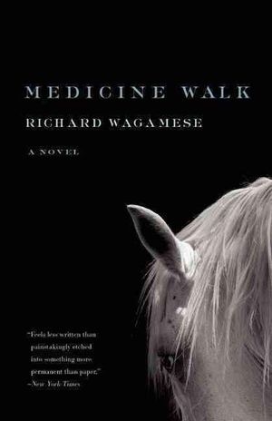 Cover Art for 9781571311160, Medicine Walk by Richard Wagamese