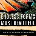 Cover Art for 9780393060164, Endless Forms Most Beautiful: The New Science of Evo Devo by Sean B. Carroll