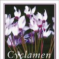 Cover Art for 9780881925876, Cyclamen by Grey-Wilson, Christopher