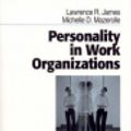 Cover Art for 9780761902959, Personality in Work Organizations / Lawrence R. James, Michelle D. Mazerolle. by Lawrence R., Michelle D. Mazerolle