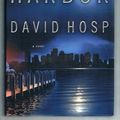 Cover Art for 9780446576932, Dark Harbor by David Hosp