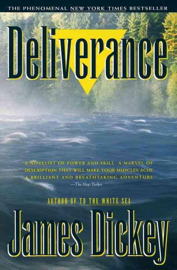 Cover Art for 9780385313872, Deliverance by James Dickey