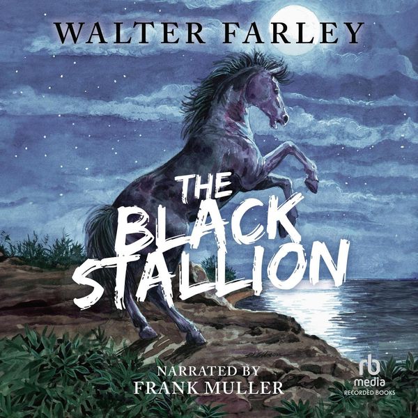 Cover Art for 9781449846954, The Black Stallion by Walter Farley