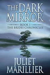 Cover Art for 9781405041058, The Dark Mirror by Juliet Marillier