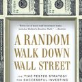 Cover Art for 9780393057829, A Random Walk Down Wall Street by Burton G. Malkiel