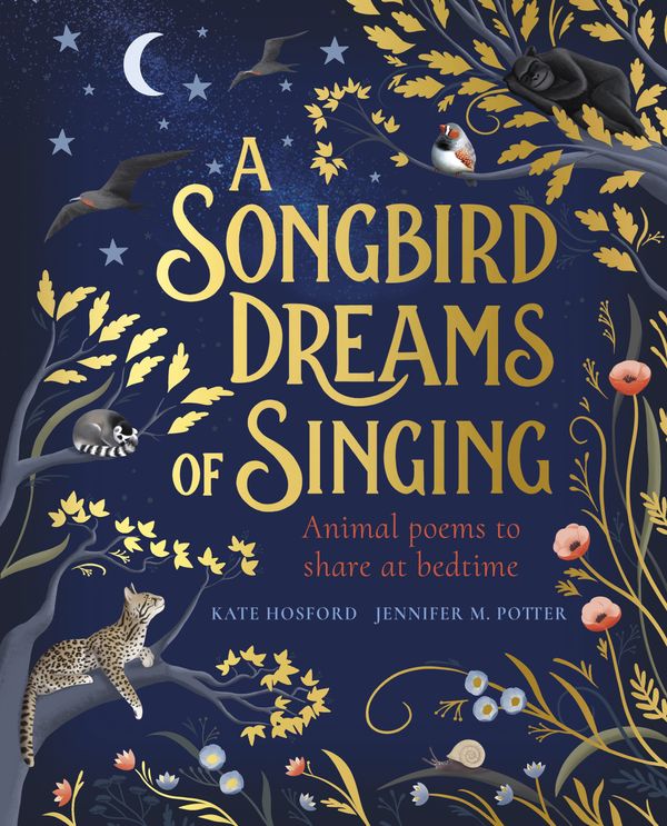 Cover Art for 9780241421116, A Songbird Dreams of Singing by Kate Hosford