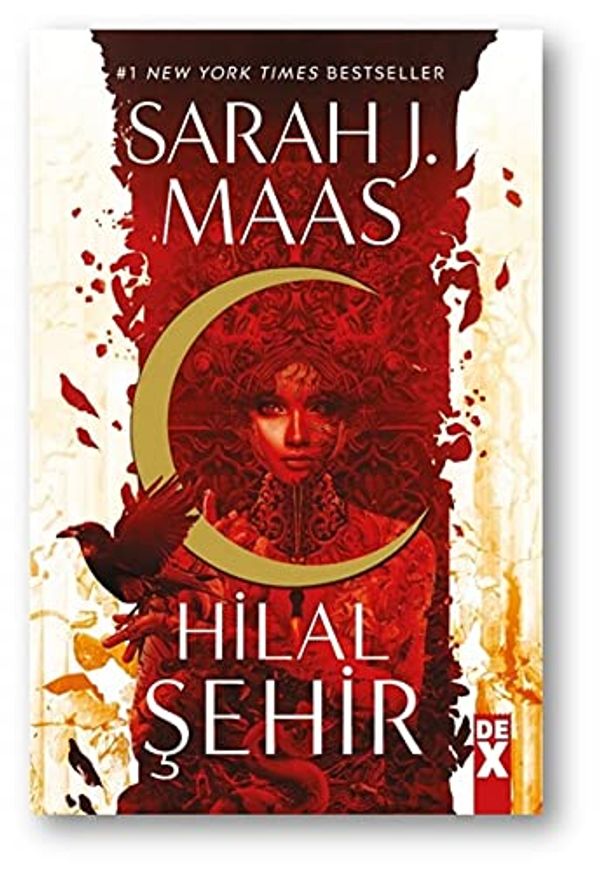 Cover Art for 9786050982770, Hilal Şehir by Sarah J. Maas