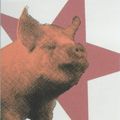 Cover Art for 9780141802022, Animal Farm: A Fairy Story (Modern Classics) by George Orwell