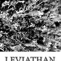 Cover Art for 9781484033814, Leviathan by Thomas Hobbes