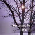 Cover Art for B009DG0G10, Surprised by Hope: Original, provocative and practical by Tom Wright