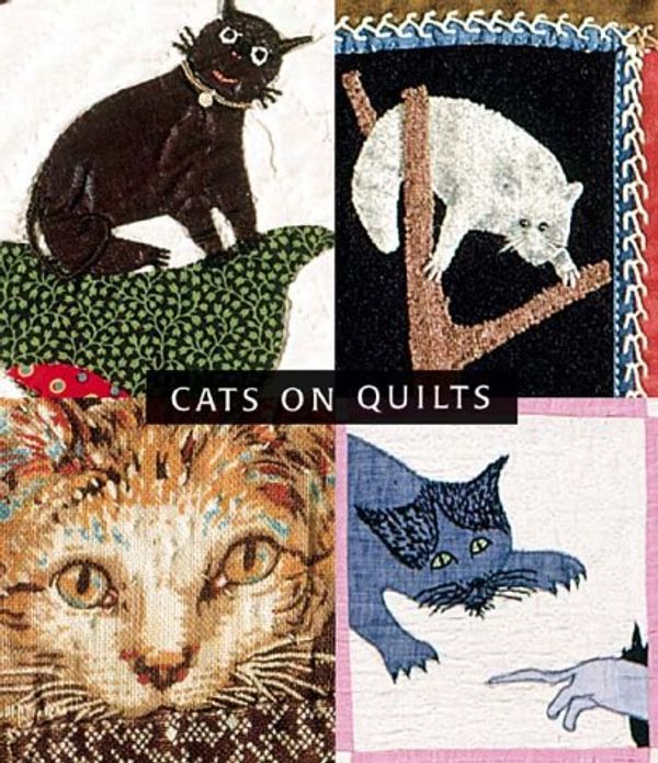 Cover Art for 9780810957251, Cats on Quilts by Sandi Fox