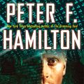 Cover Art for 9780345533142, The Nano Flower by Peter F. Hamilton