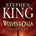 Cover Art for 9780340827154, Dark Tower: Wolves of the Calla v. 5 by Stephen King