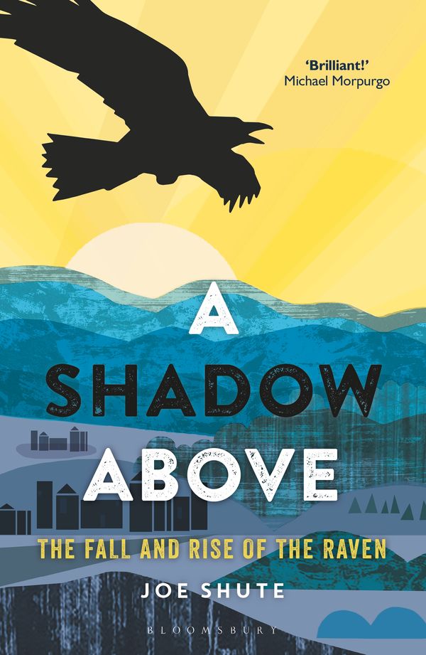 Cover Art for 9781472940285, A Shadow AboveThe Fall and Rise of the Raven by Joe Shute