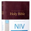 Cover Art for 9780310446231, NIV, Value Pew and Worship Bible by Zondervan