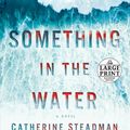 Cover Art for 9780525632924, Something in the Water (Random House Large Print) by Catherine Steadman
