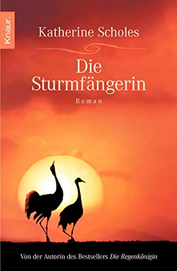 Cover Art for 9783426638231, Die Sturmfängerin by Katherine Scholes