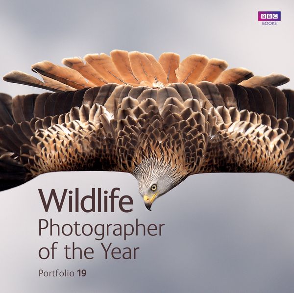 Cover Art for 9781846077609, Wildlife Photographer of the Year Portfolio 19 by Rosamund Kidman Cox