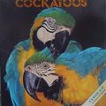 Cover Art for 9780382248993, Parrots, MacAws and Cockatoos (Close Up) by Vicki Leon; R. H. Armstrong